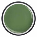Army Green 5ml