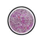 Colour Powder Shiny Fuchsia